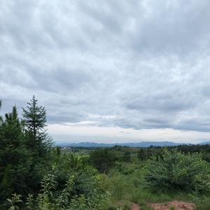 侯强-回心转意（南方淘气 remix）