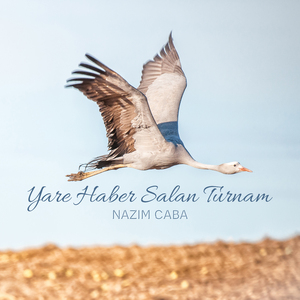 Yare Haber Salan Turnam