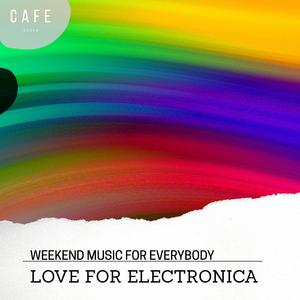 The Digital Blocks (Chill Electronica Fest)