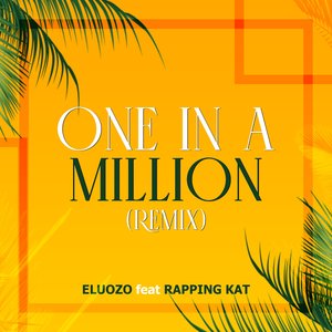 One in a Million (Remix)