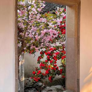 Titanic  (开门小曲！)