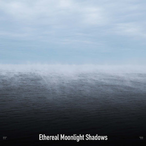 White Noise Machine Airplane Sounds