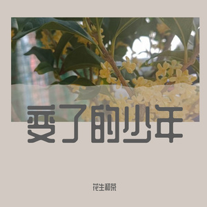 变了的少年（片段）