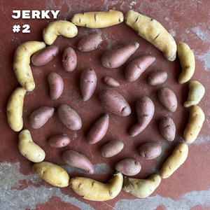 Jerky (Bait & Switch Mix)