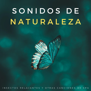 Retiro De Insectos Pacíficos