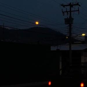 ily2 (feat. Babebee)