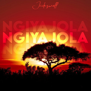 Ngiyajola