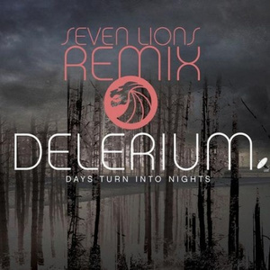 Days Turn Into Nights (Seven Lions Remix)