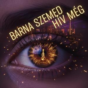 Barna szemed hív még (Partyzene #11)