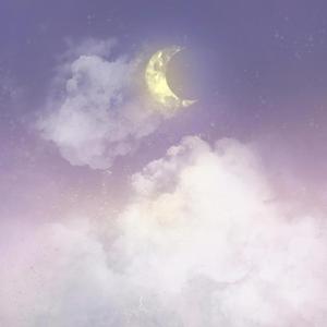 Stars Fell the Night You Left