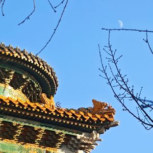 【乐正绫V3/V5/AI】锦鲤抄