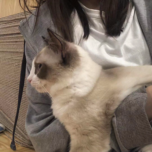 "Safe And Sound"Lo-Fi type beat