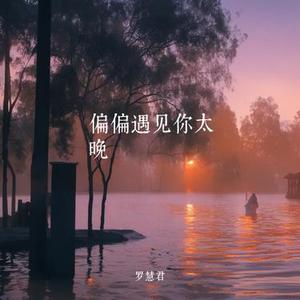 偏偏遇见你太晚 (今生我只能陪你走一段)