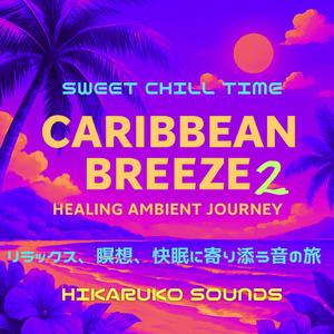 サンゴ礁に眠る夢　Ocean Ambient Sleep Healing Music