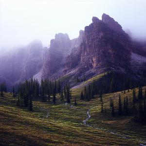 香山居士写真诗