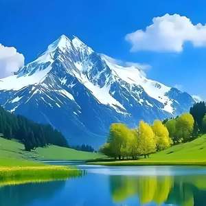 多想回到黑巴草原上