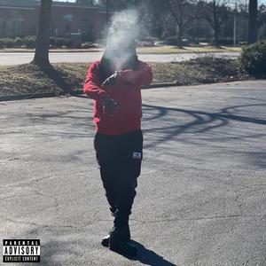 Scratching The Surface