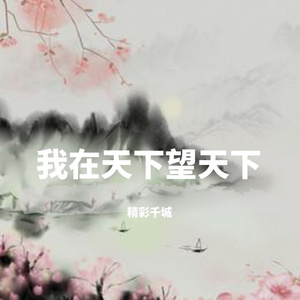 我在天下望天下