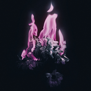 A fleur des lames