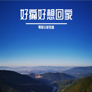 好痛好想回家