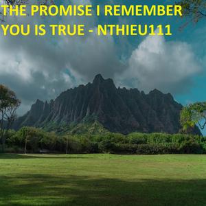 THE PROMISE I REMEMBER YOU IS TRUE