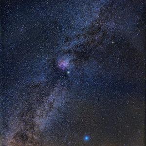 山野里的百里香 WIld Mountain Thyme