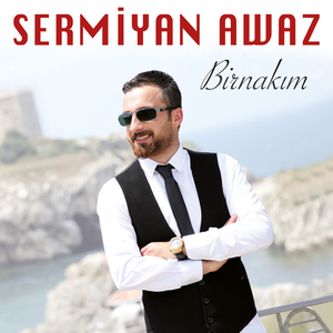 Birnakım