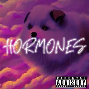 荷尔蒙（Prod.by MORROW）