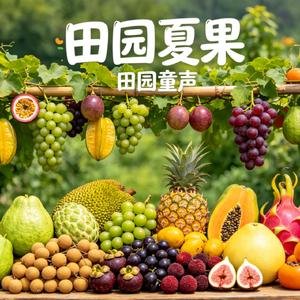 田园童声夏果·龙眼