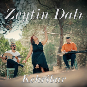 Zeytin Dalı
