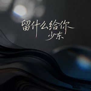 留什么给你（DJ版）