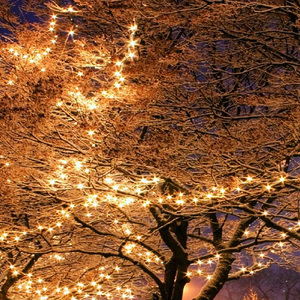 크리스마스의 기적