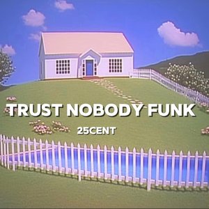 trust nobody funk
