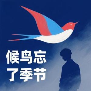 候鸟忘了季节