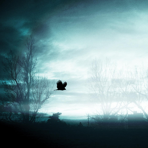 A White Tree in a Pitch Black Forest