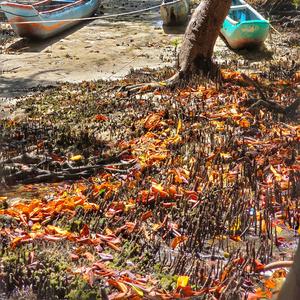Cada pulo é um flash