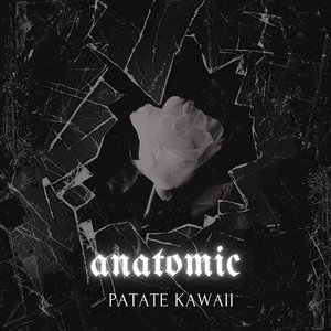 Anatomic