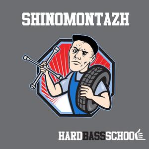 Shinomontazh