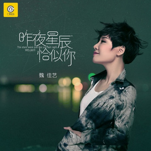 昨夜星辰恰似你