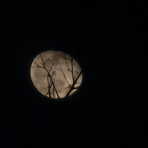 第幺零零一次修正