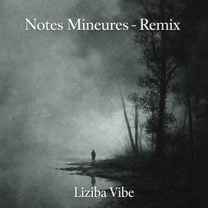 Emblème (feat. Prescilla) (Remix)