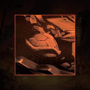 Carapace