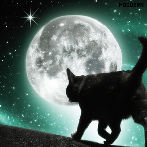 To The Moon