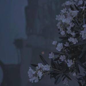 很需要