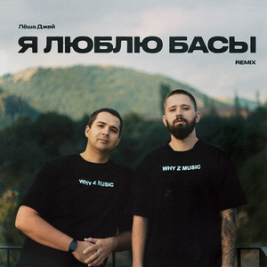Я люблю басы (Remix)