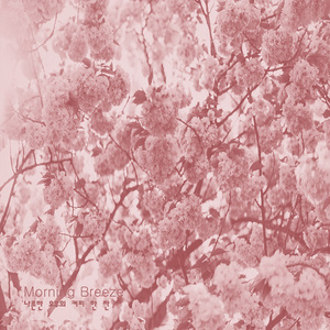 나른한 오후의 커피 한 잔