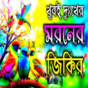 খুবই দুঃখের মরণের জিকির __ সময়ের সেরা মরণের জিকির __ নতুন ভাইরাল জিকির __ Ghazal _ Jikir