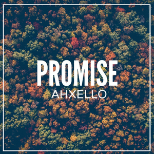 Promise