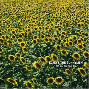 In the Margins (Live)