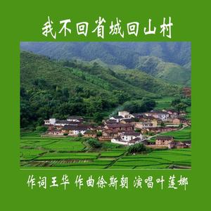 我不回省城了回山村（板胡）